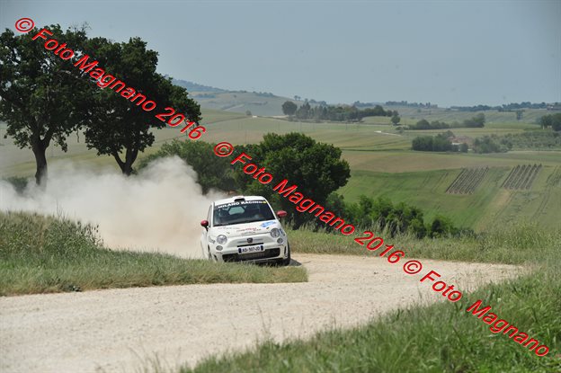 DSC_4920.JPG
